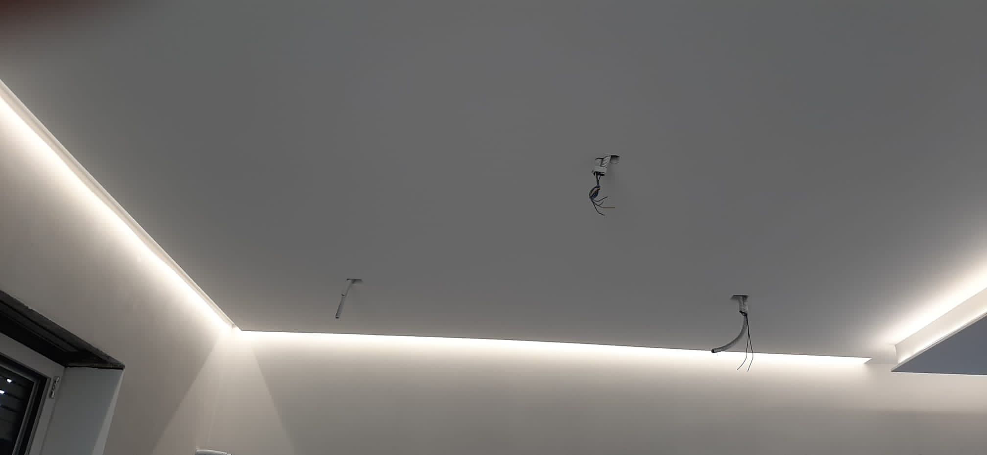 93097.jpeg
