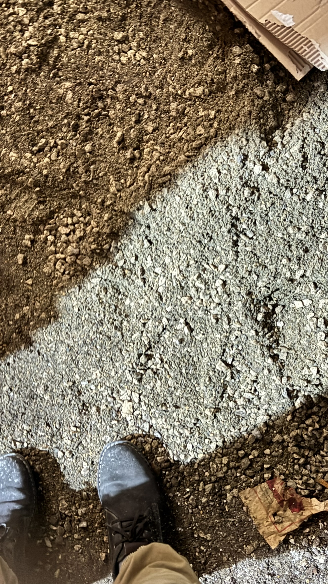 IMG_7318.JPEG